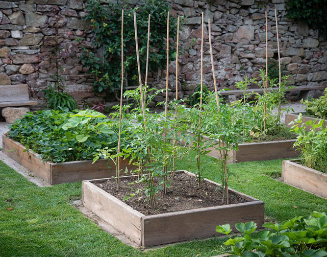 Elevate Your Yard: Your Guide to Raised Garden Beds