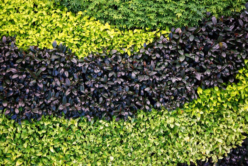 Biophilic Design in Seattle – Reconnect with Nature